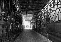 Campagna contro il caro tasse universitarie