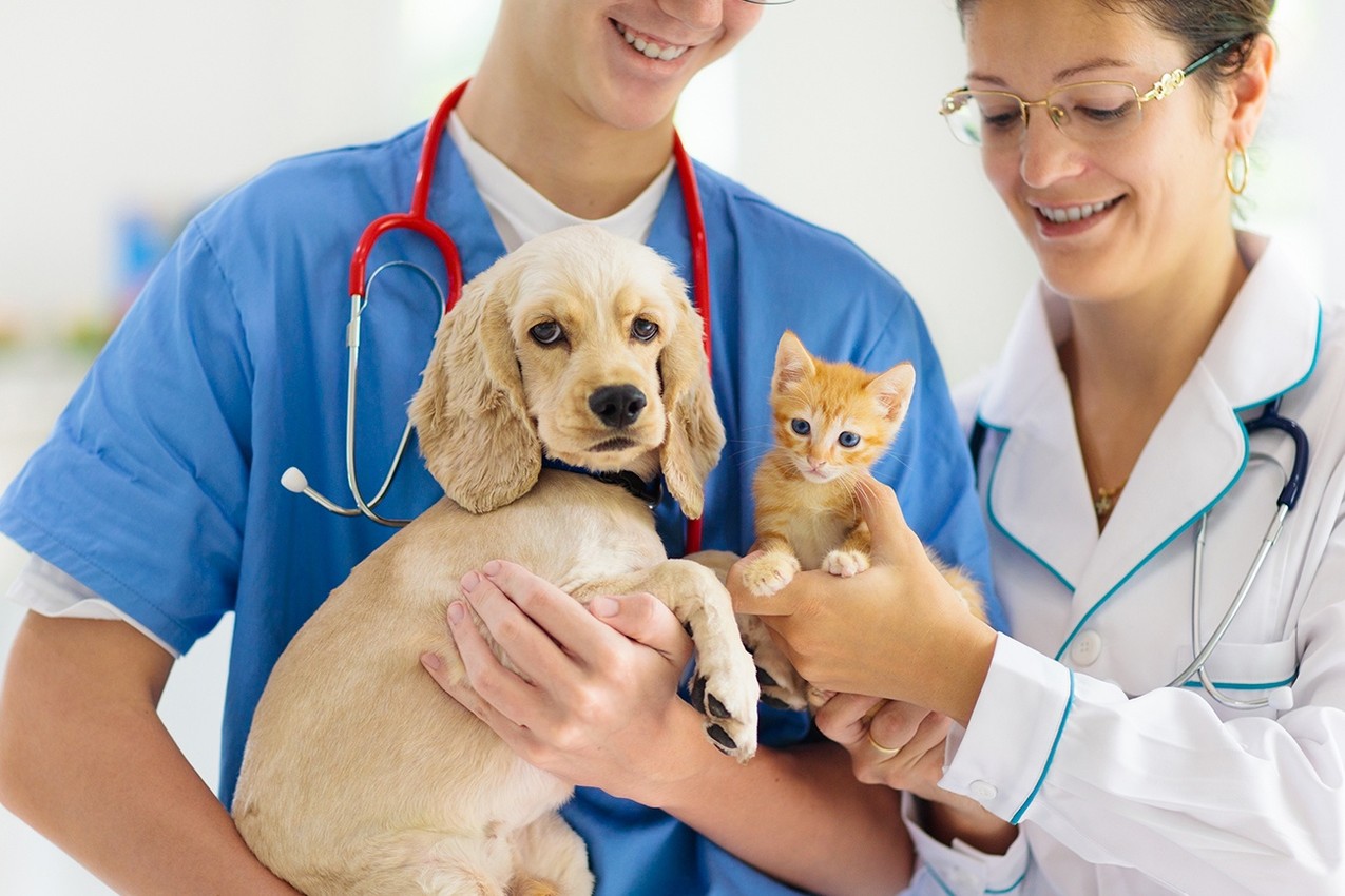 Accesso a veterinaria: Tar Lazio annulla decreto ministeriale programmazione